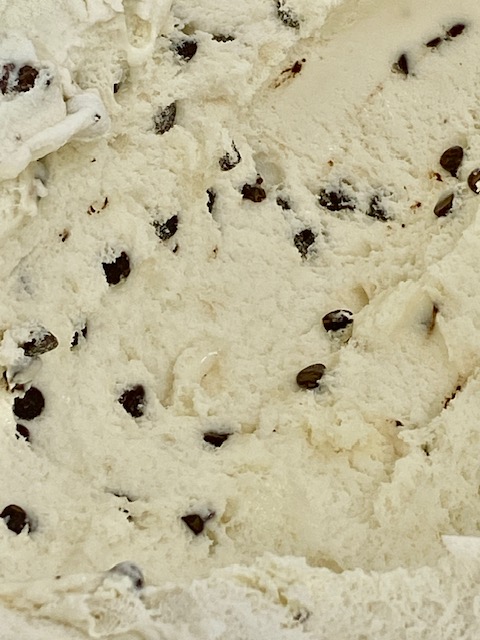 Chocolate Chip Ice Cream